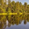 Torfowisko Rejvíz