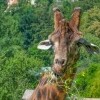 Zoo Jihlava