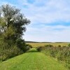 Park Narodowy Örségi Nemzeti