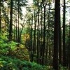 Wieża widokowa i ścieżka edukacyjna Křemešník