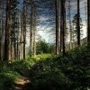 Przemkowski Park Krajobrazowy