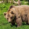 Zoo w Miszkolcu