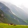 Alpy Zillertalskie