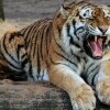 Zoo i ogród botaniczny w Debreczynie