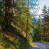 Gera Park Eichberg