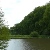 Torfowisko Libunecko