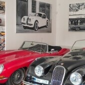 Wystawa Jaguara