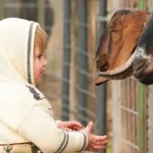 Xantus János ZOO