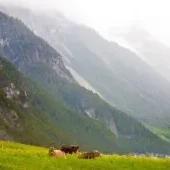 Alpy Zillertalskie