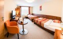 Pokój, Hotel Artaban ****, Žirovnice, Vysočina