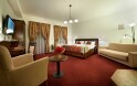Pokój dwuosobowy DeLuxe, Hotel Joseph 1699 ****, Trebic