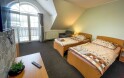 Pokój dwuosobowy z 1 dodatkowym łóżkiem, Hotel Aldo ***, Unicov