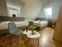 Studio z 3 łóżkami, Hotel Aldo ***, Unicov