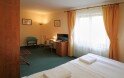Pókoj Superior, Hotel Palace *** Superior, Plzeň