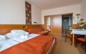 Apartament Standard PLUS, Apartment Hotel Bükfürdő ***, Węgry