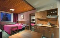Apartament, (2 sypialnie + kuchnia), Hotel Tetrevi Boudy ***