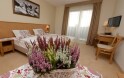Pokój Premium 2+0, Hotel Alpejski ***, Polanica-Zdrój