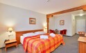 Pokój dwuosobowy Superior, LH Hotel Dvořák Tábor Congress & Wellness ****