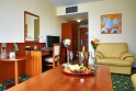 Apartament, PRIMAVERA Hotel & Congress centre****, Pilzno