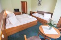 Pokój trzyosobowy, Hotel Svratka, Vysočina