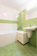 Apartament z aneksem kuchennym, Wellness Hotel Říčky ***, Góry Orlickie