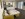 Bungalow, Hotel Rakovec ***, Brno