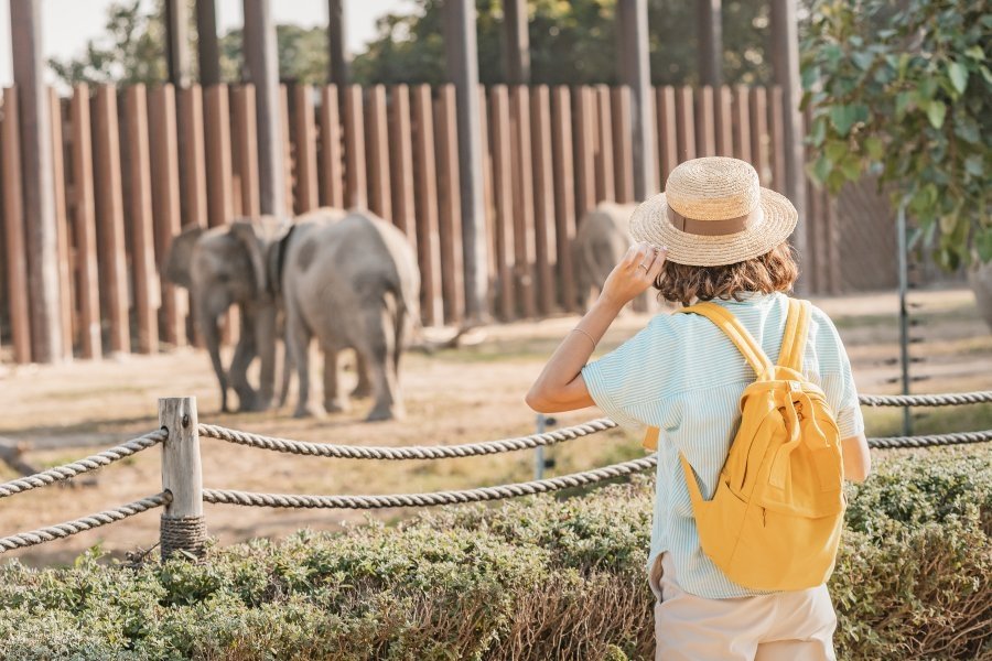 NAJ na Węgrzech: 5 NAJ ogrodów zoologicznych dla dzieci i dorosłych