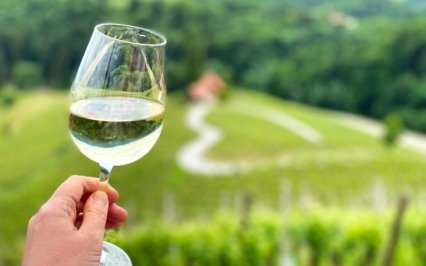 NAJ słoweńskie winiarnie: TOP 10 przeżyć dla miłośników wina
