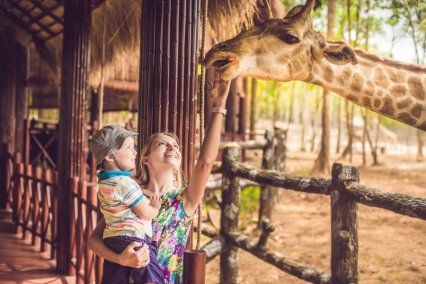 NAJ na Węgrzech: 5 NAJ ogrodów zoologicznych dla dzieci i dorosłych