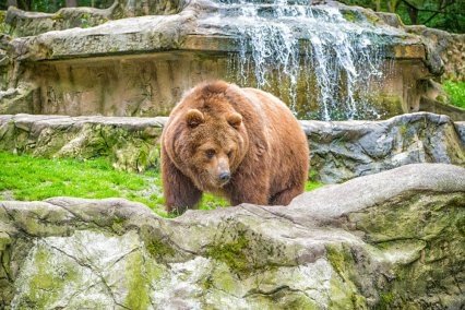 Odkryj NAJ na Słowacji: 9 NAJ ogrodów zoologicznych i botanicznych
