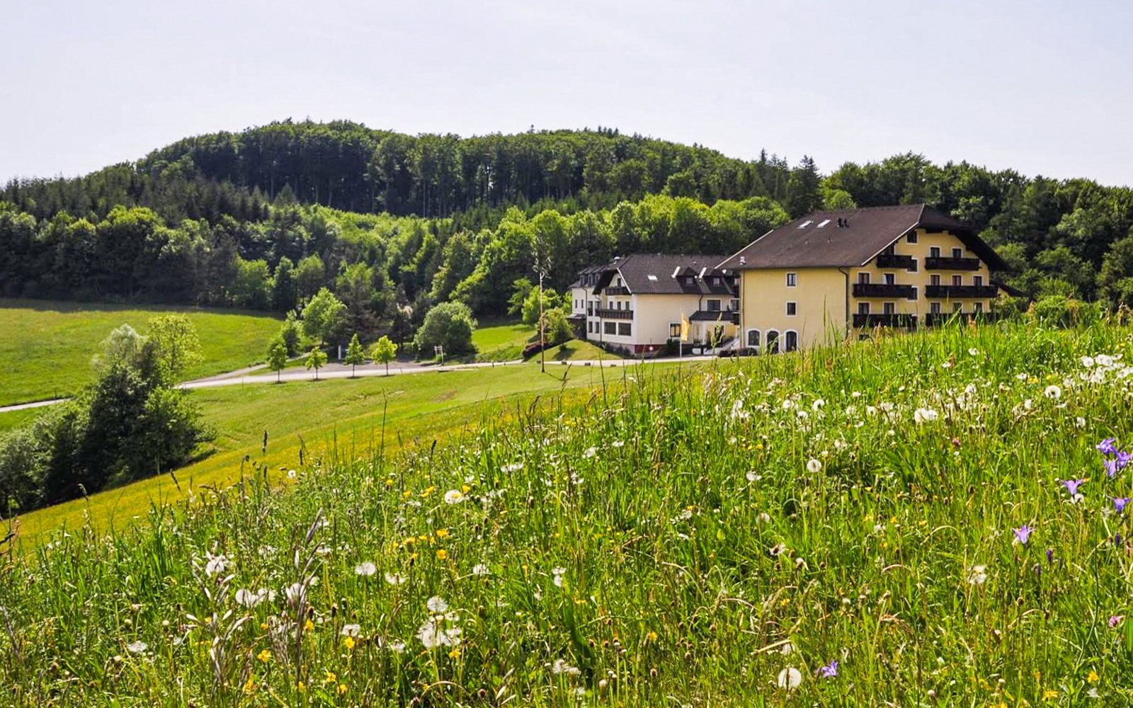 

Austria koło Wiednia w Hotelu Wienerwaldhof **** z obiadokolacją i centrum wellness (kryty basen, 2 sauny)